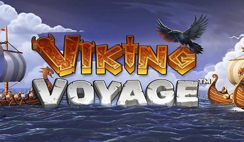 Viking Voyage