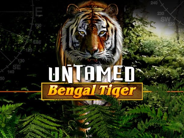 अनयायपूर्ण बंगाल बाघ